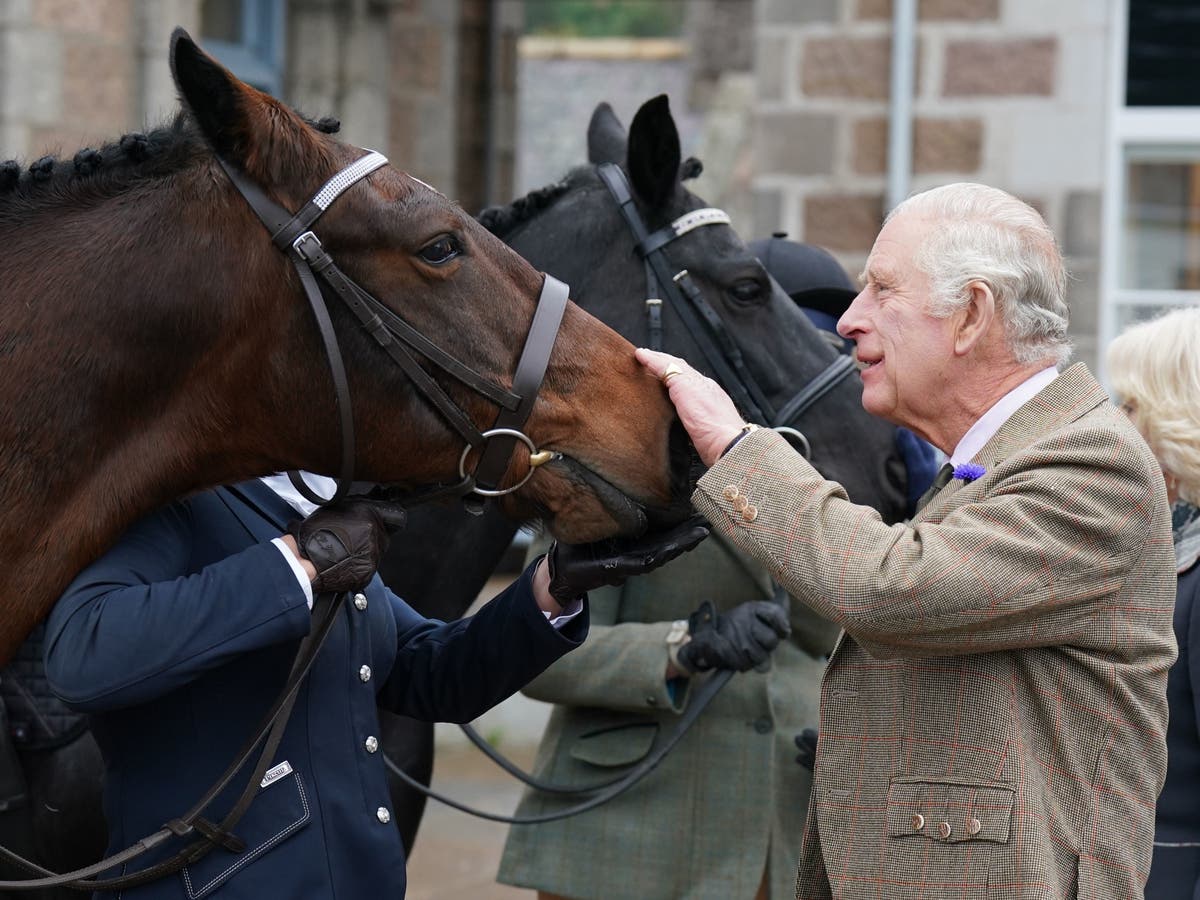 King Charles to sell 14 horses inherited from Queen Elizabeth II The